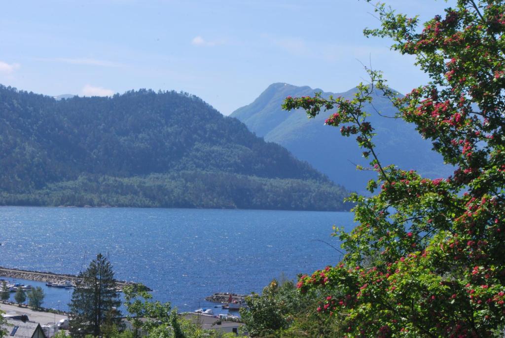 Sjoholt Camping Bagian luar foto