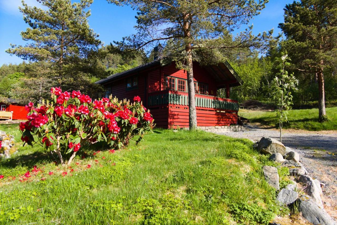 Sjoholt Camping Bagian luar foto